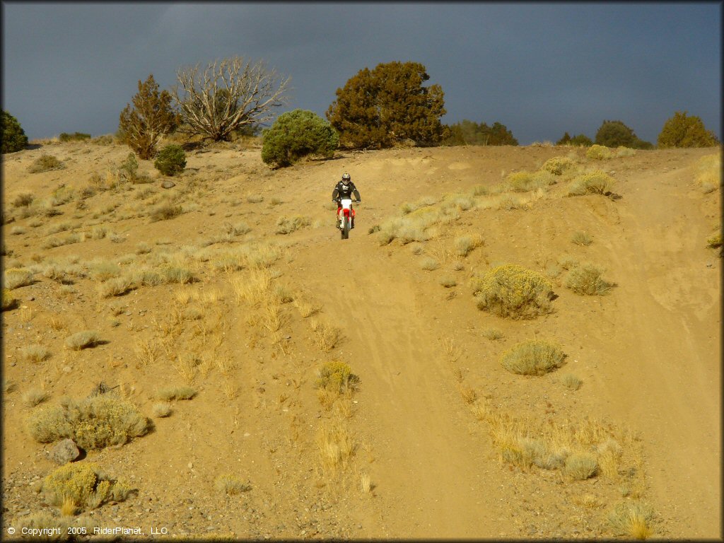 Honda CRF Off-Road Bike at Mount Seigel OHV Trails