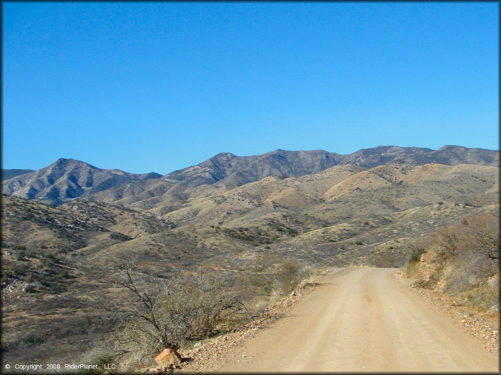 Scenic view of Mt. Lemmon Control Road Trail