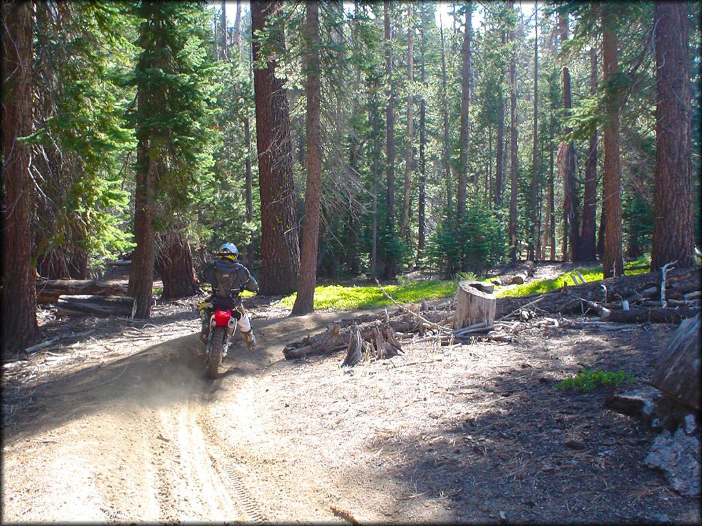 Honda CRF Motorbike at Genoa Peak Trail