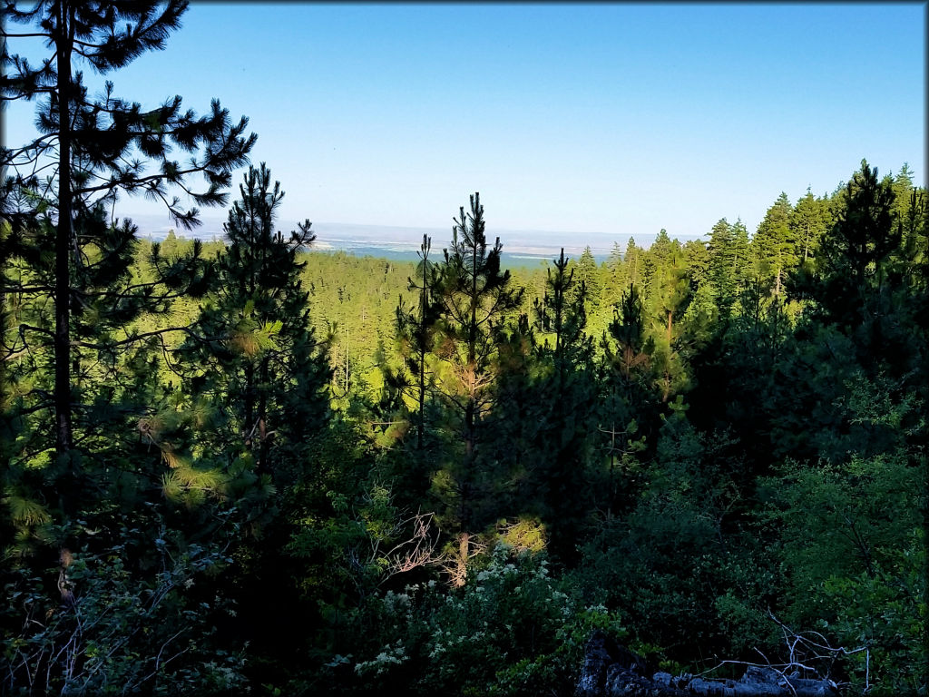 Rock Creek OHV Area Trail