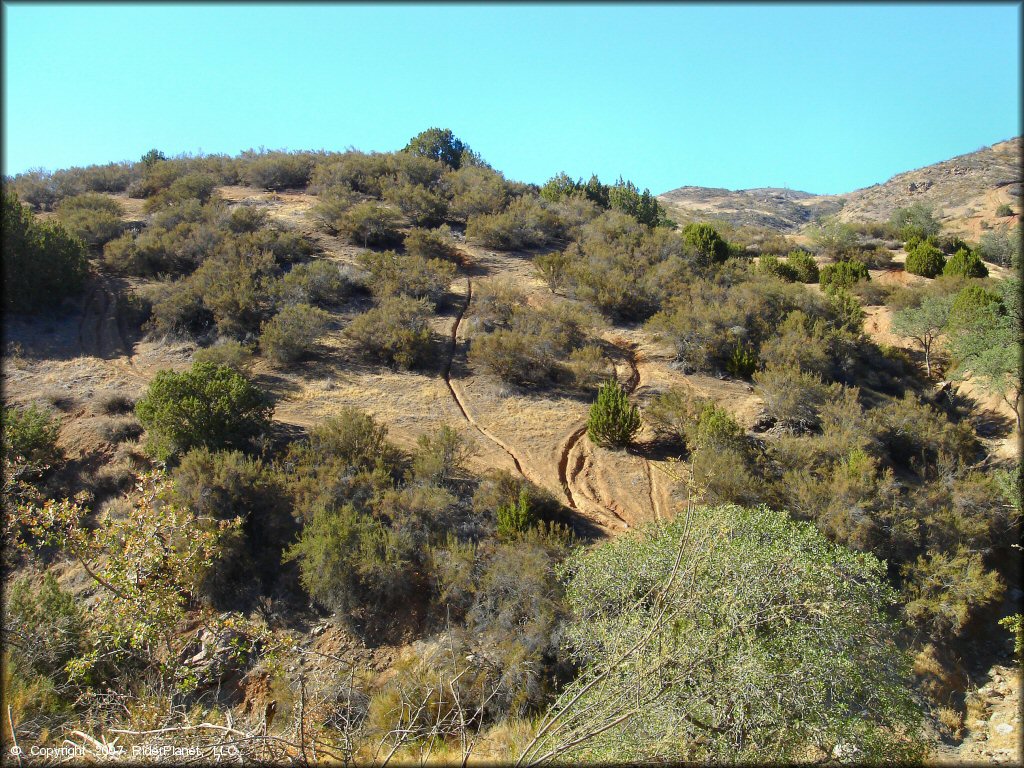 OHV at Frank Raines OHV Park Trail