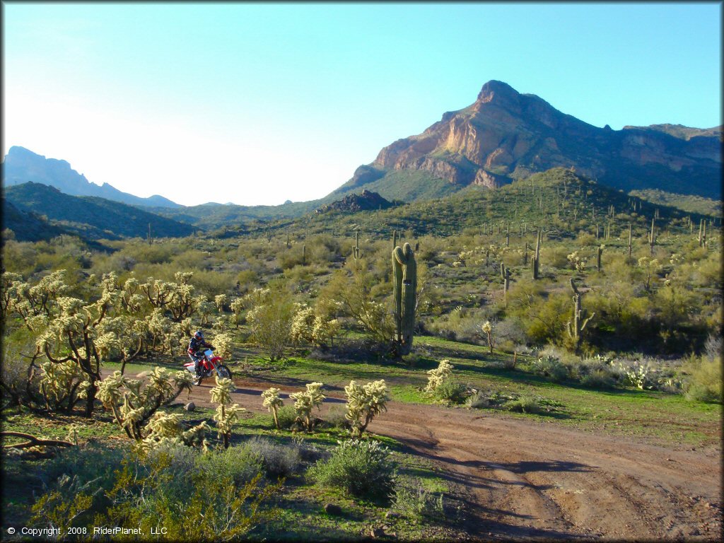 Bulldog Canyon OHV Area Trail