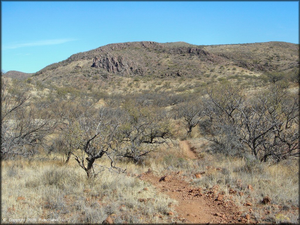 Scenic view of Red Springs Trail