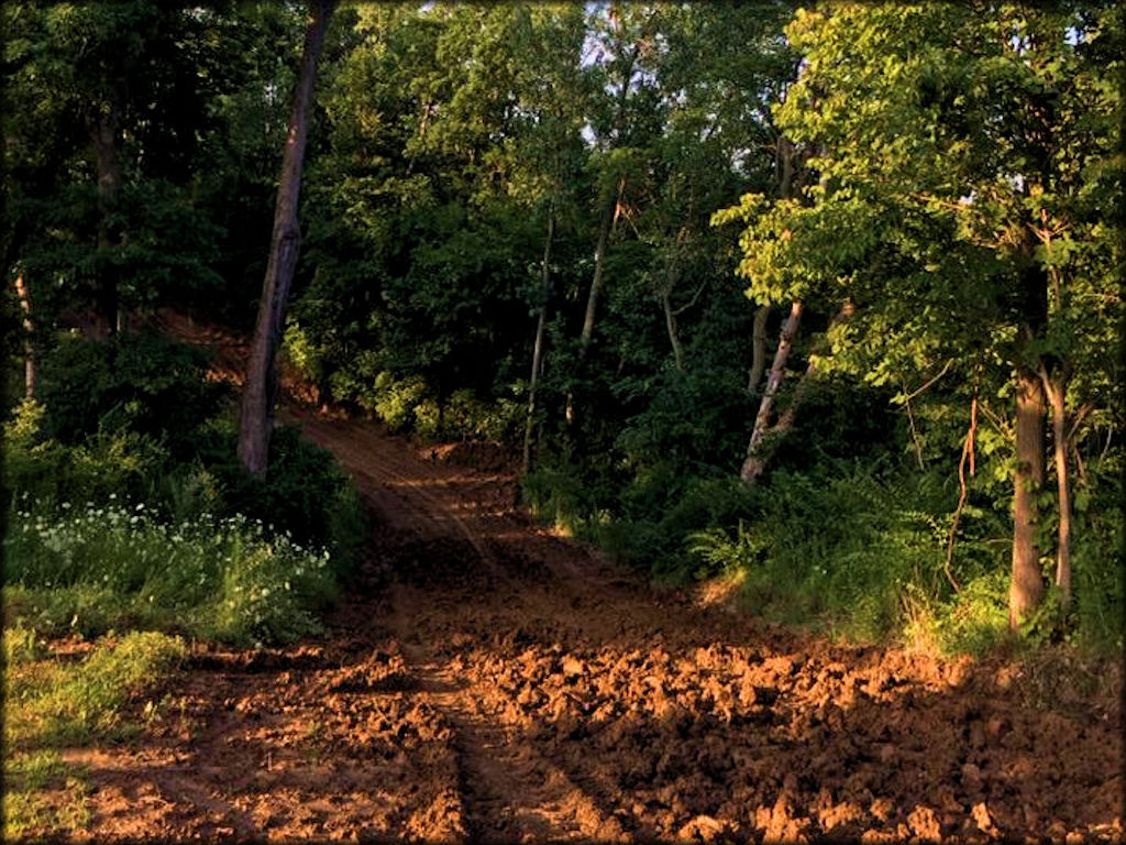 Muddy Waters MX Track