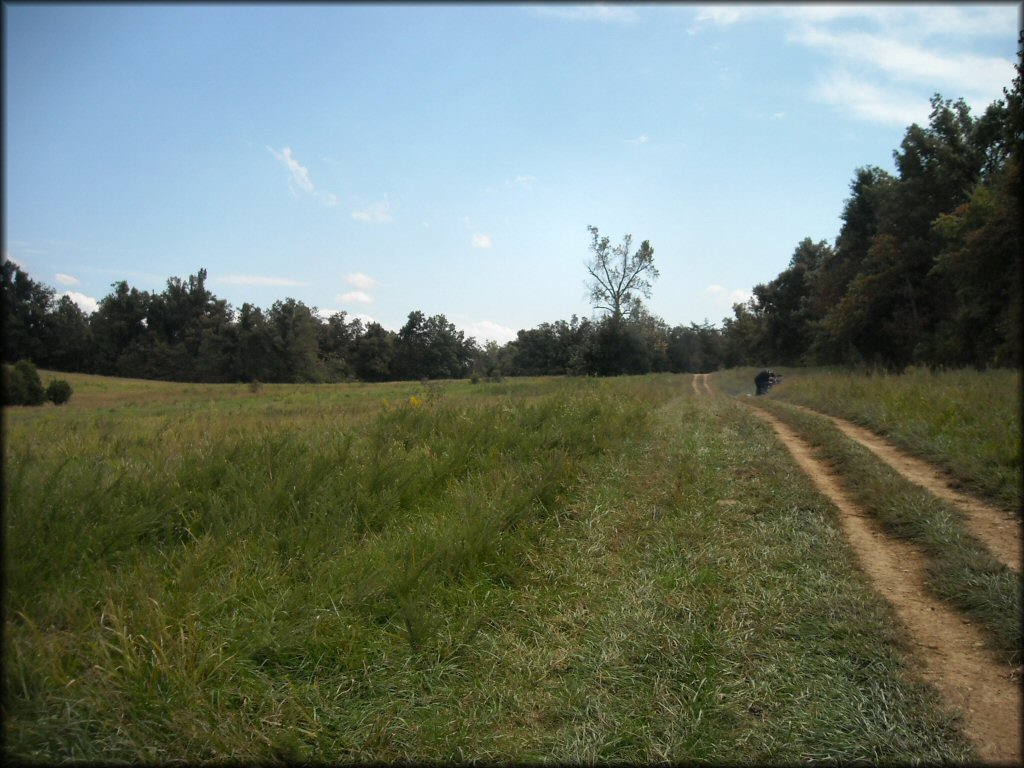 A trail at Royal ATV Trails OHV Area
