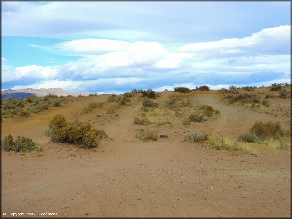 A trail at Sunridge Track OHV Area