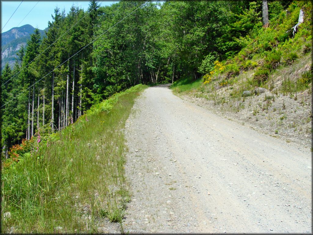 Terrain example at Reiter Foothills State Forest Trail