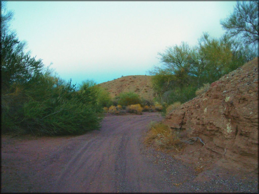 Crossroads OHV Area Trail