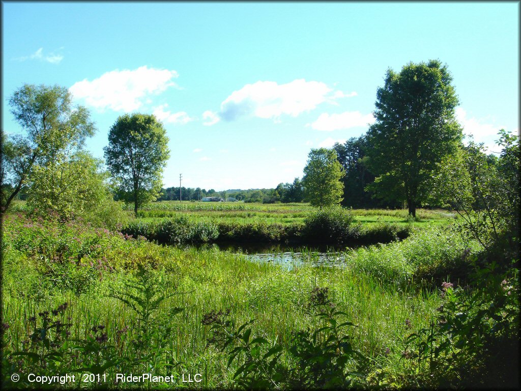 Scenery from Camden ATV Trail