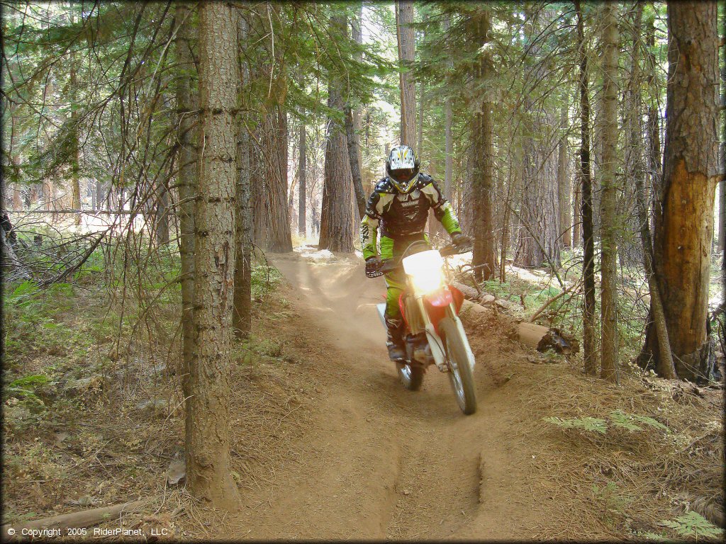 Honda CRF Motorcycle at Elkins Flat OHV Routes Trail