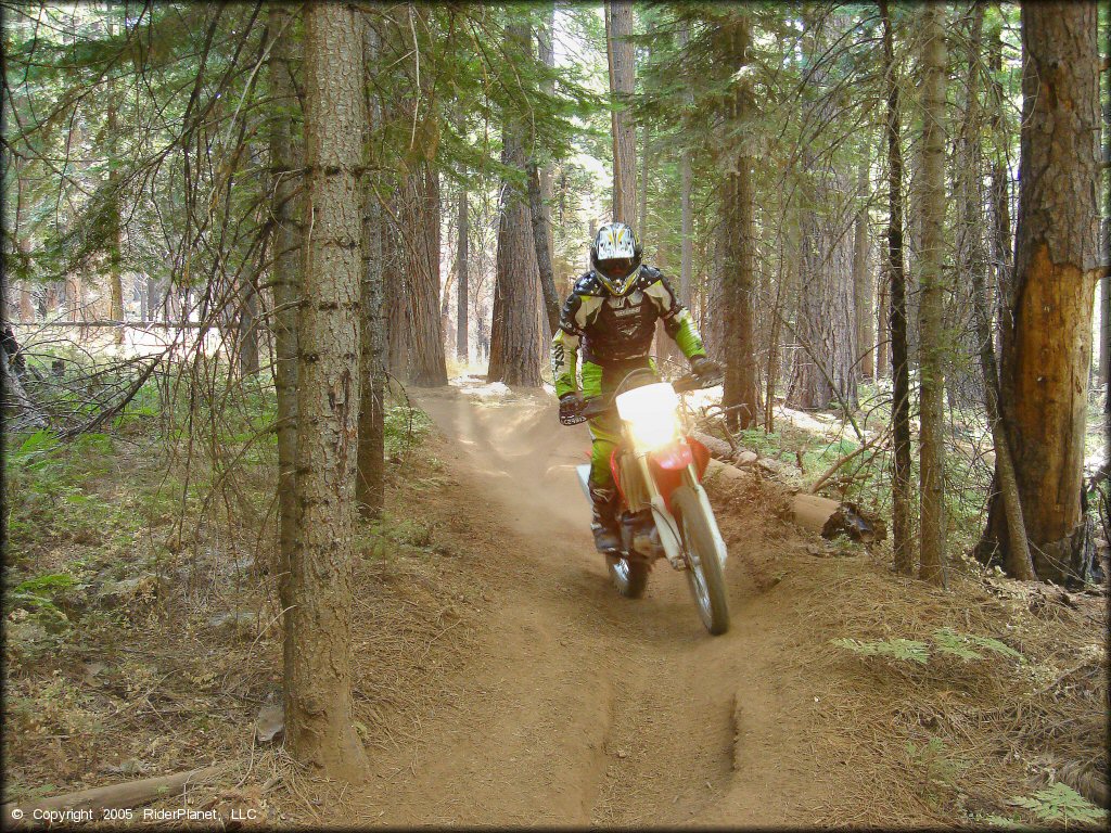 Honda CRF Trail Bike at Elkins Flat OHV Routes Trail