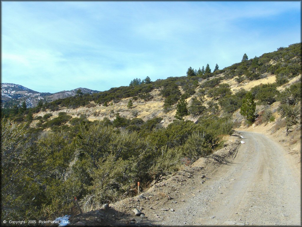 Example of terrain at Timberline Road Trail