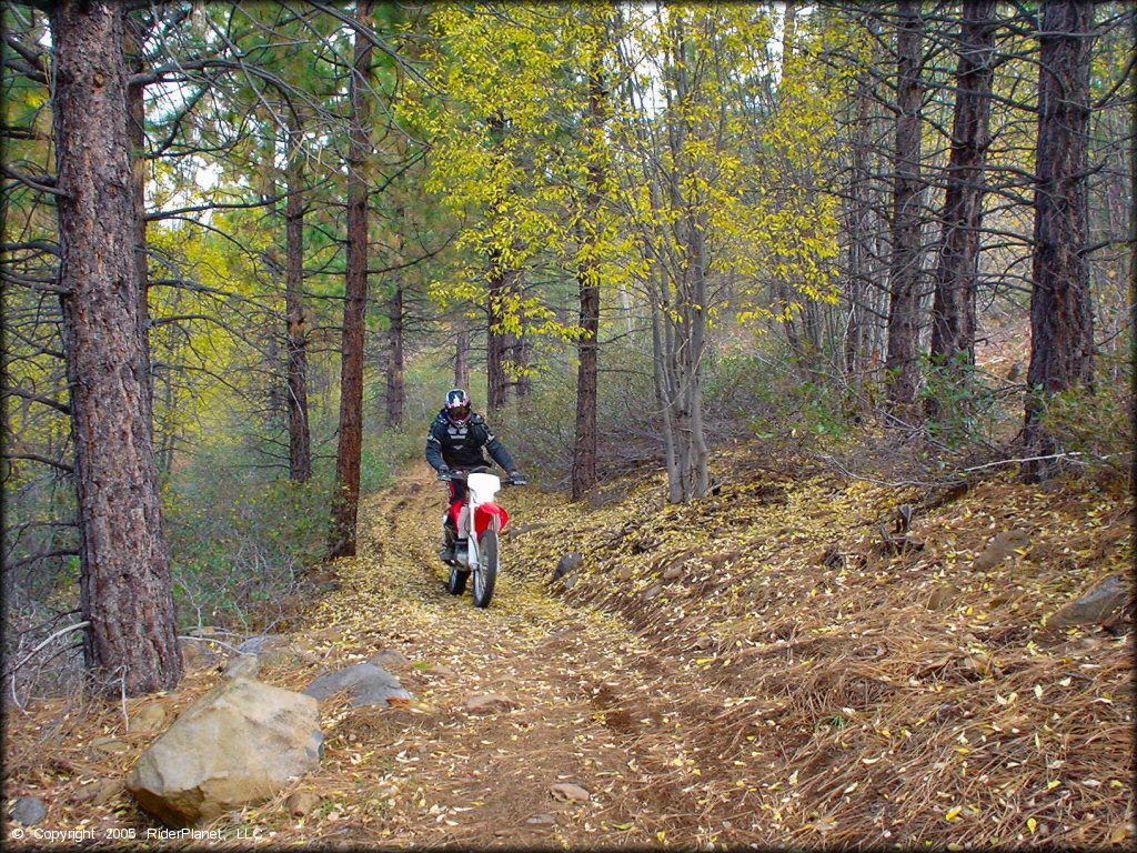 Honda CRF Dirt Bike at Prosser Hill OHV Area Trail