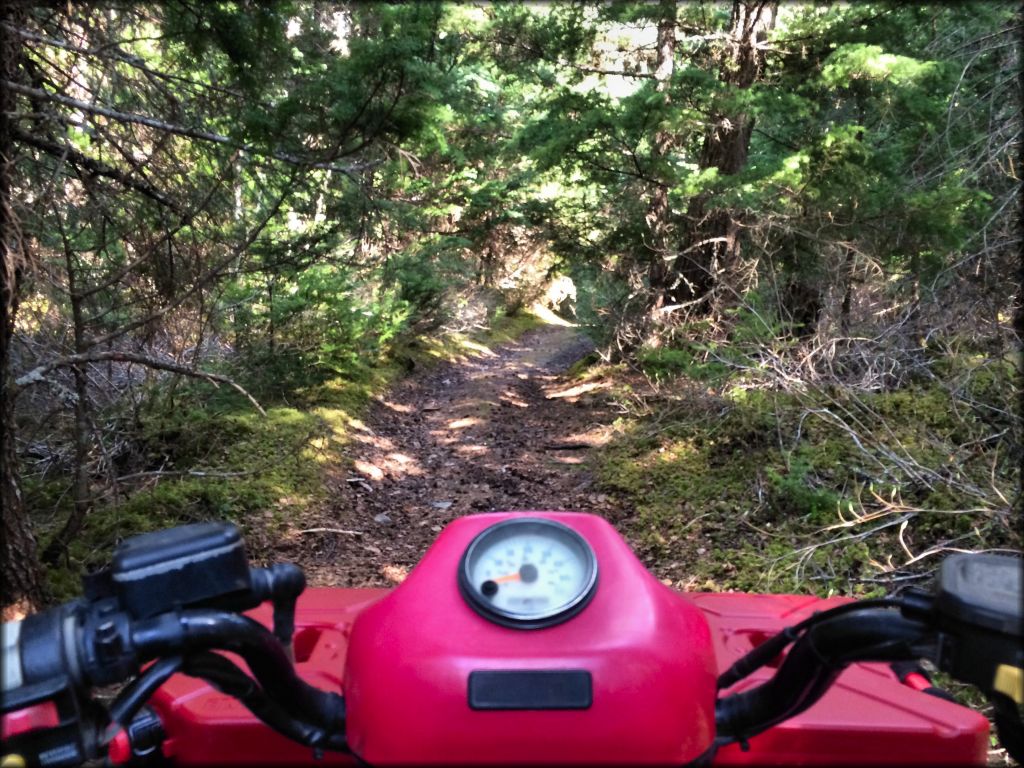 Bird Creek Valley Trail