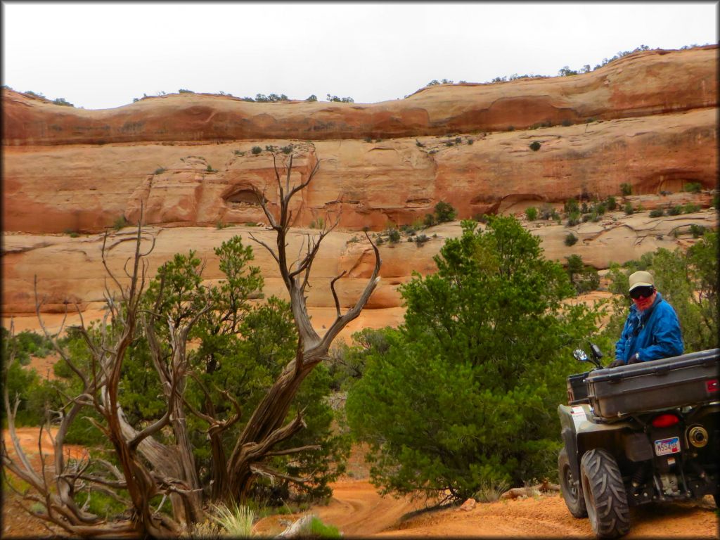 Hook and Ladder OHV Trails