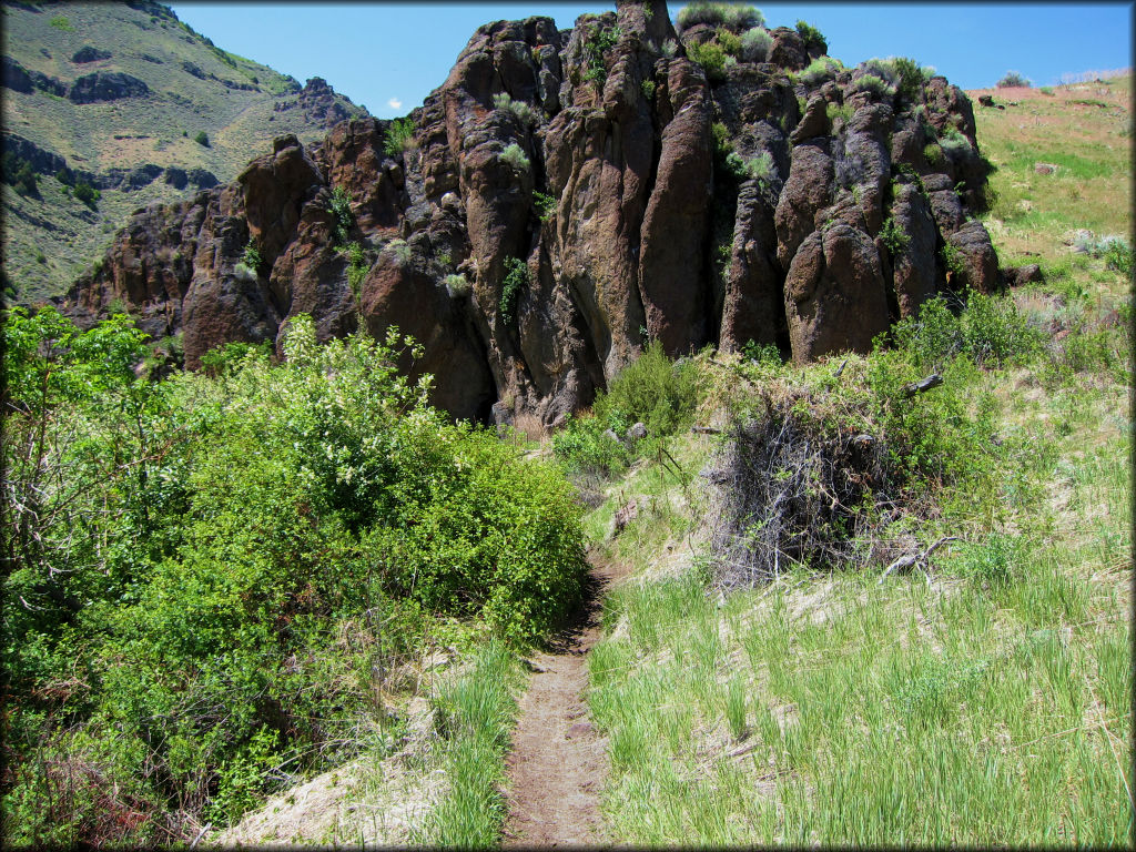 Scenic view of single track motorcycle surrounded by green grass and various bushes with large rock boulders in the background.