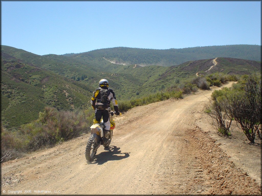 Man on Suzuki RM250 dirt bike with yellow and black motocross gear riding down forest service road.