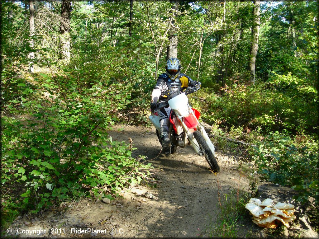Honda CRF Motorbike at Hodges Village Dam Trail