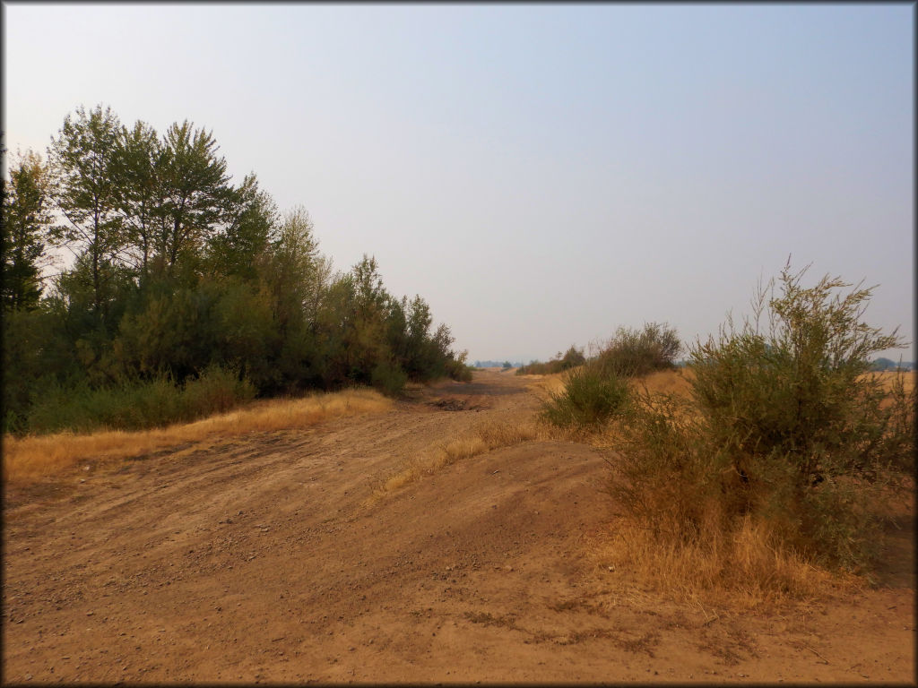 Hoover Ponds County Park OHV Area Trail