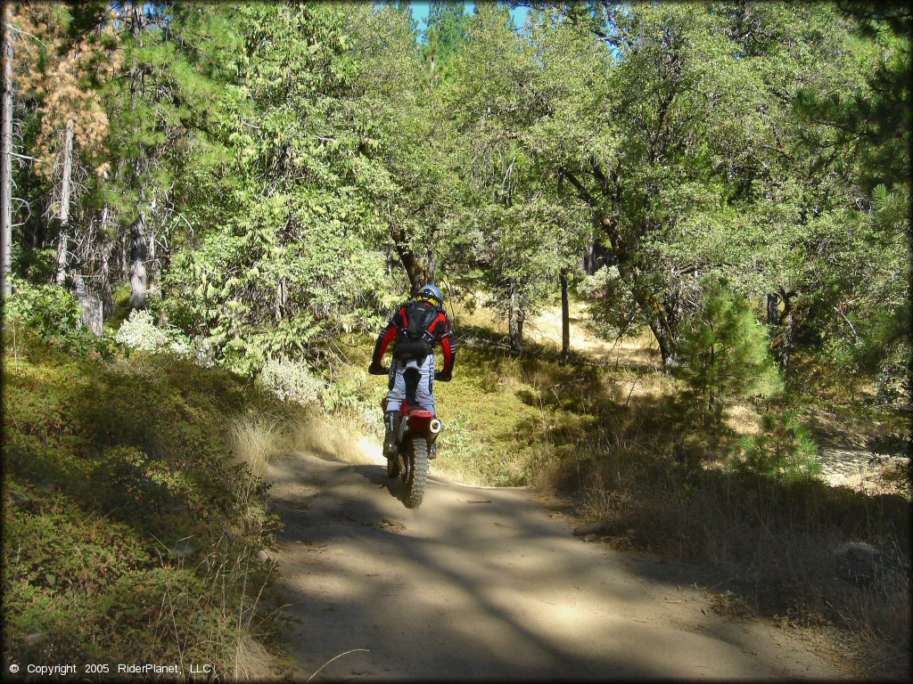 Honda CRF Motorcycle at Miami Creek OHV Area Trail