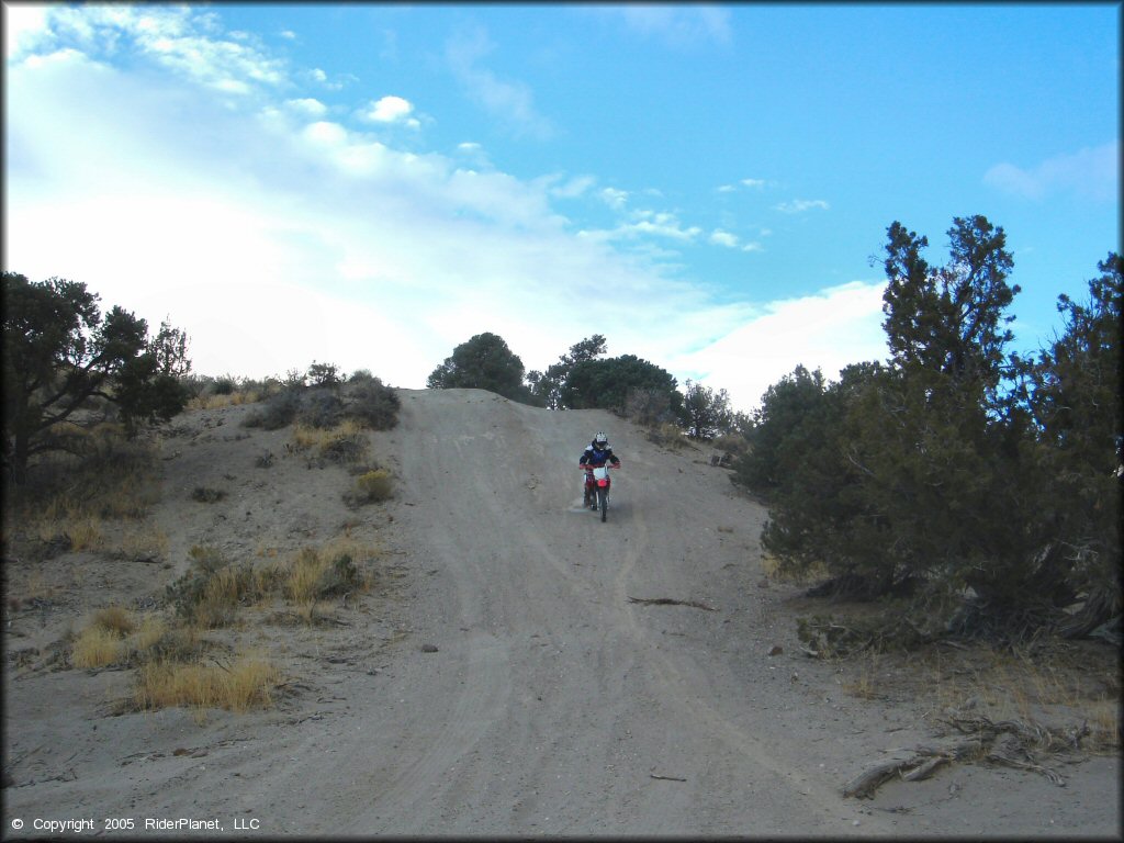 Honda CRF Dirt Bike at Mount Seigel OHV Trails