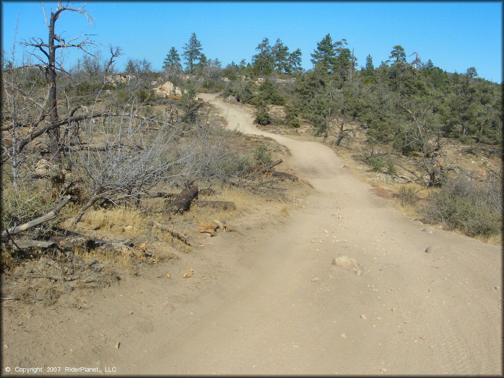 Terrain example at Dove Springs Trail