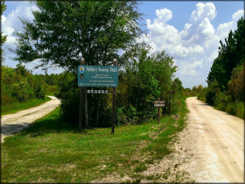 Mallory Swamp ATV Trail