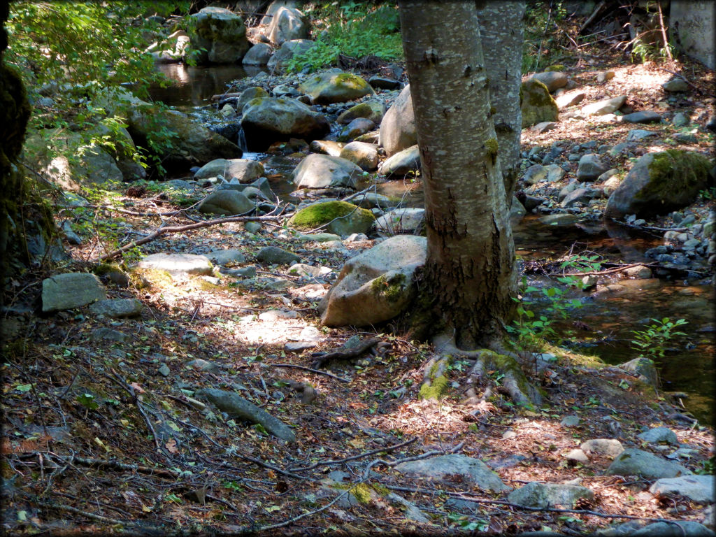 Humbug OHV Area Trail