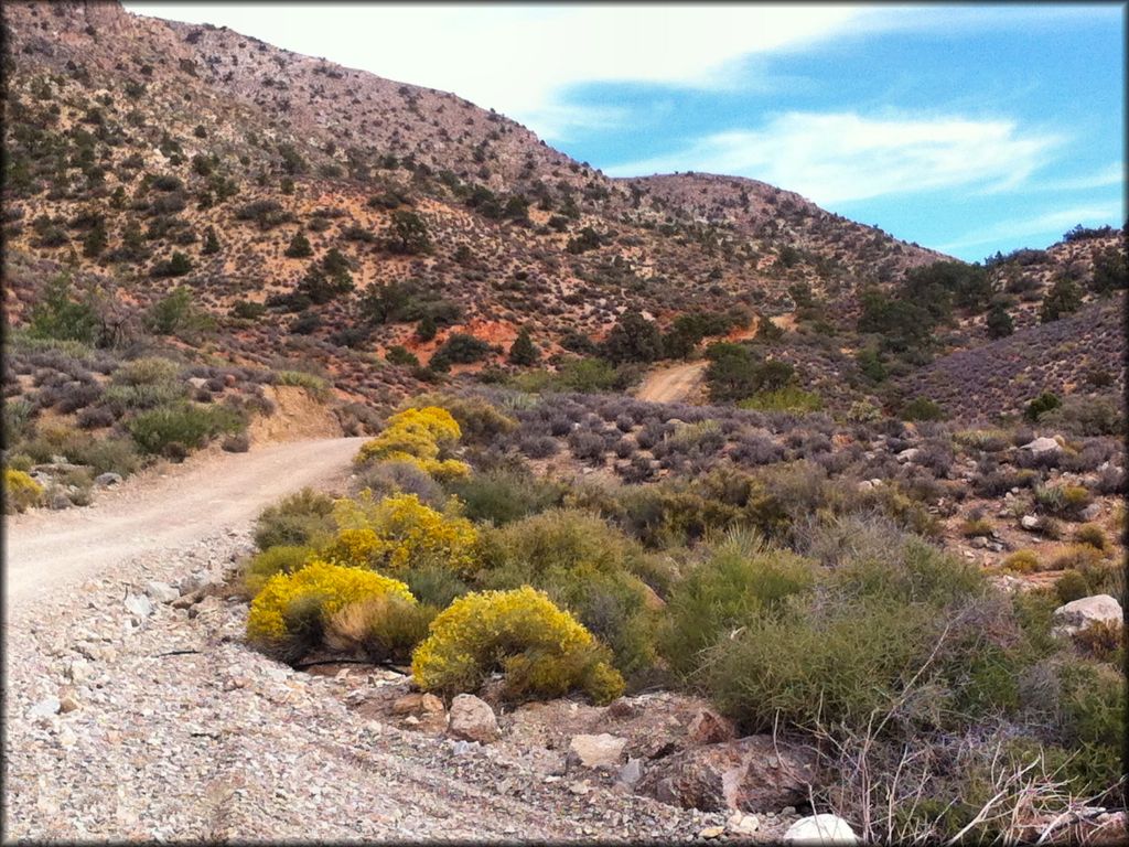 Whitney Pockets OHV Area