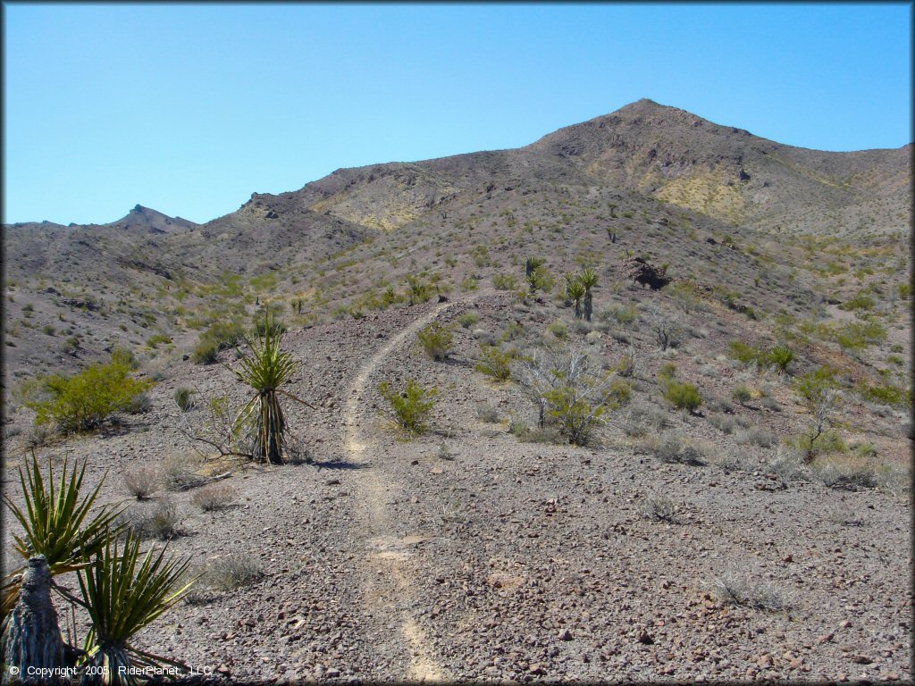 Nelson Hills Trail