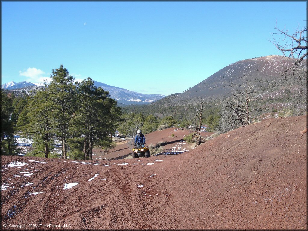 Rider on Honda Recon 250 riding up small hill.