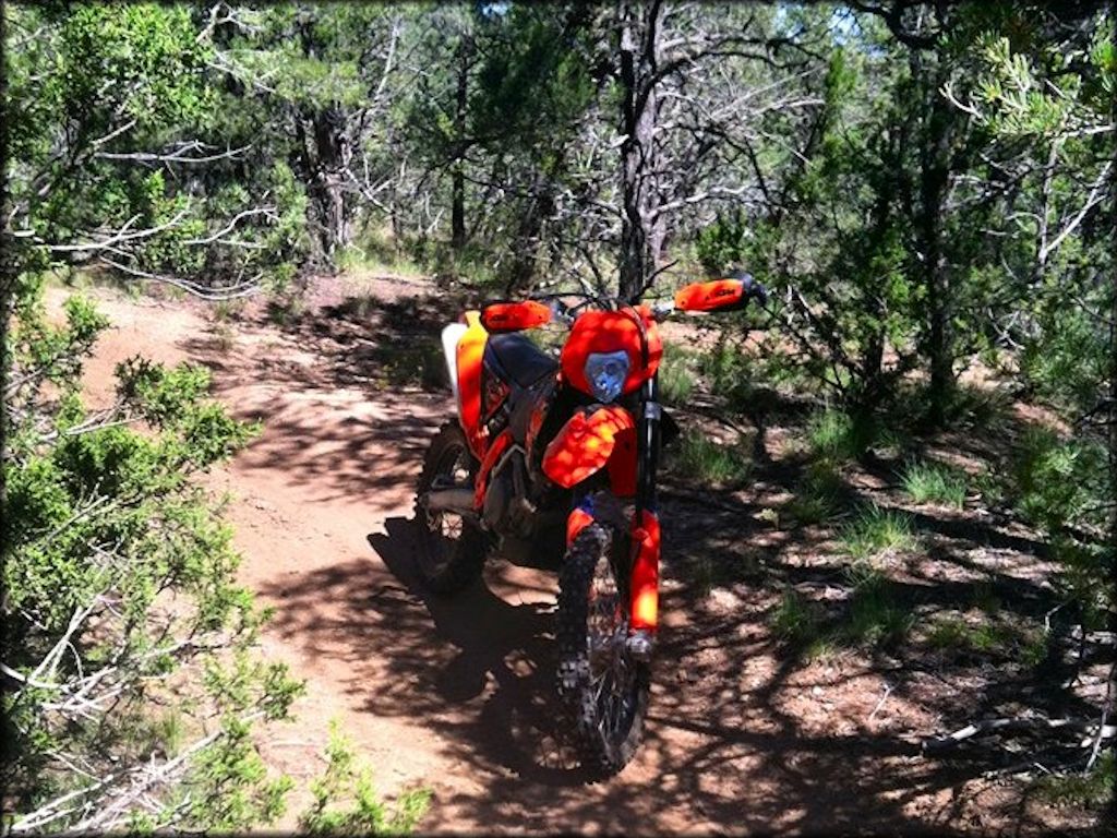 Cedro Peak Trail