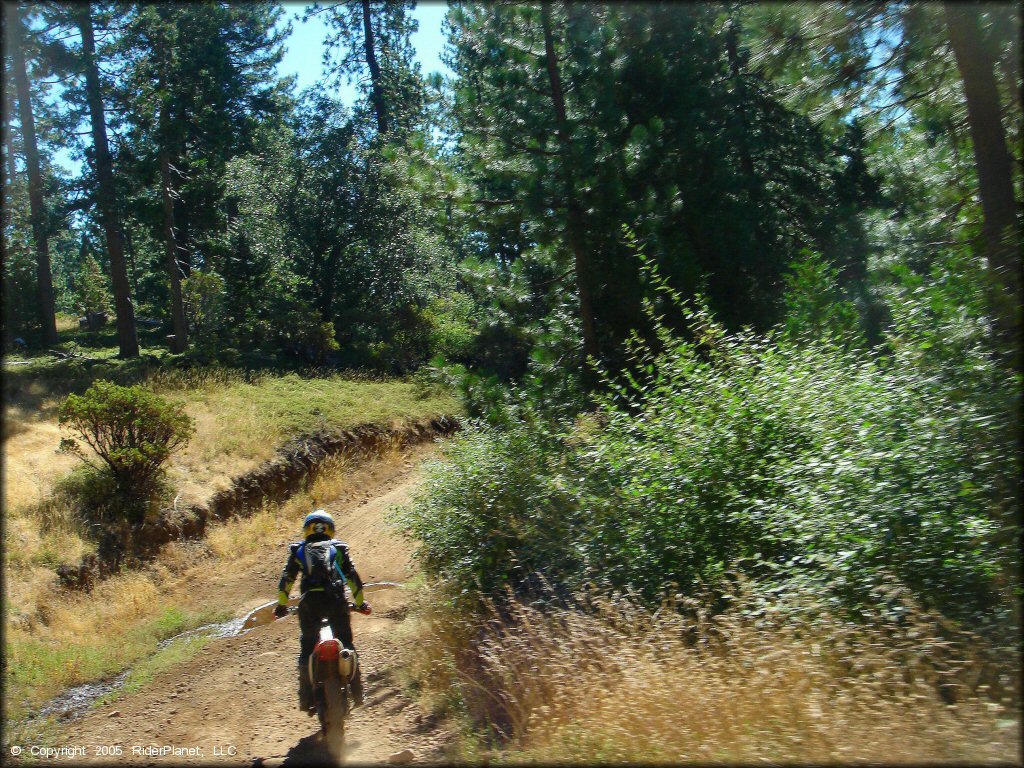 Honda CRF Trail Bike at Interface Recreation Trails