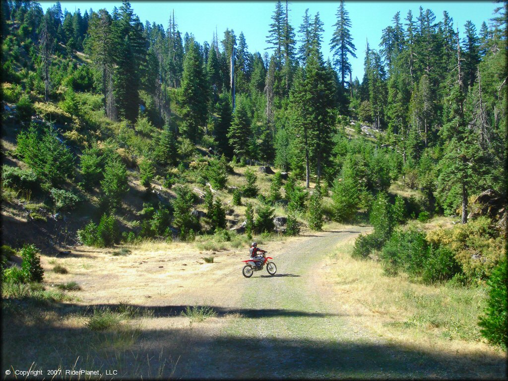 Honda CRF Motorbike at Pilot Creek OHV Trails