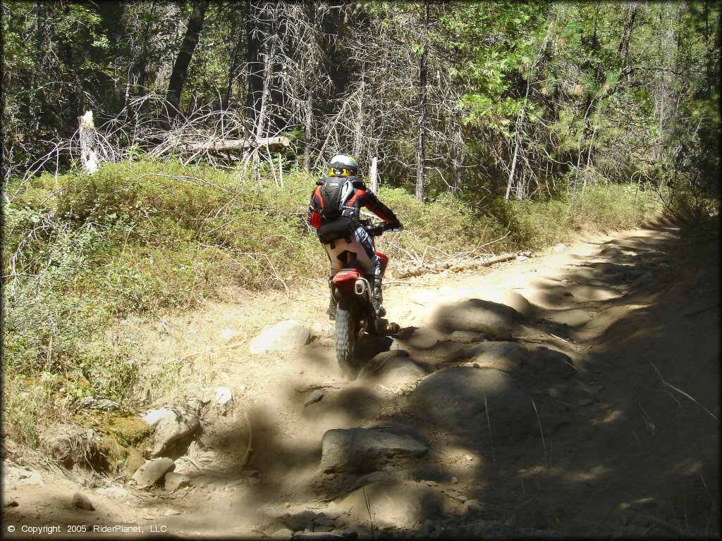 Honda CRF Motorcycle at Miami Creek OHV Area Trail