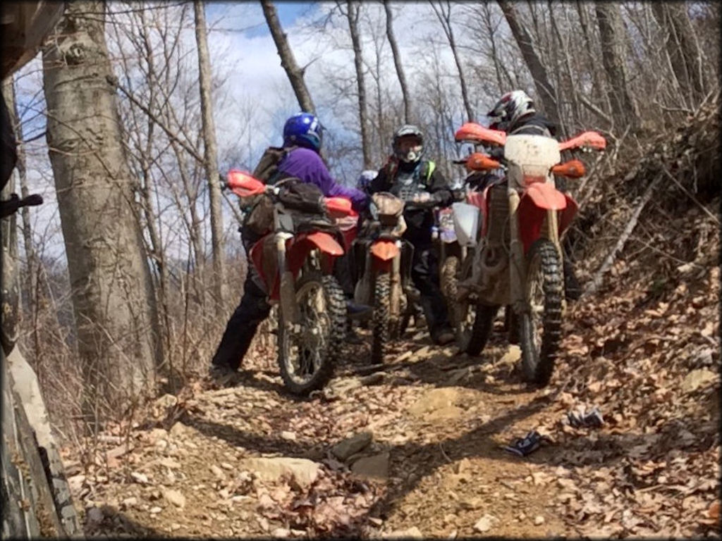 Buffalo Mountain ATV Trails