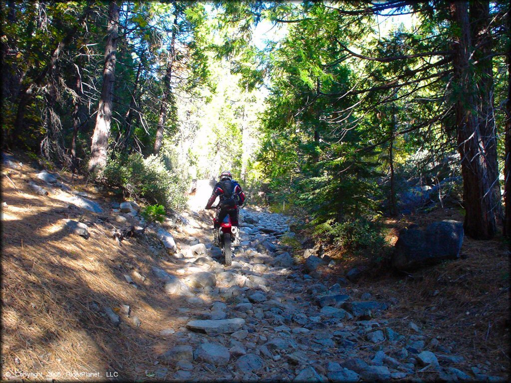 Honda CRF Dirtbike at Indian Springs Trail