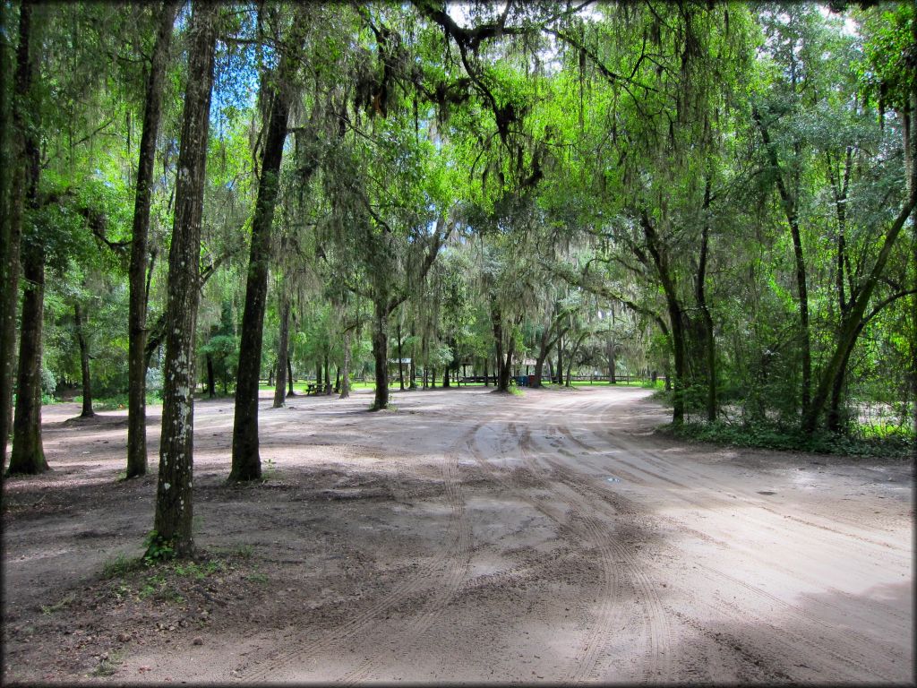 Croom Motorcycle Area Trail