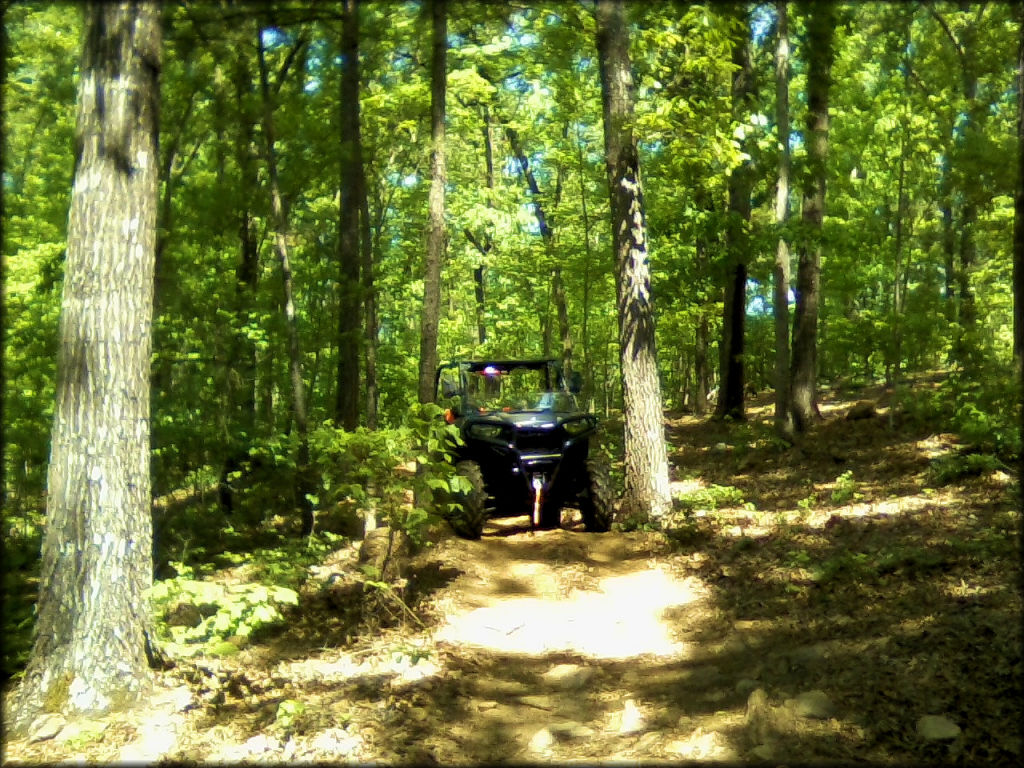 Cedar Springs OHV Trail