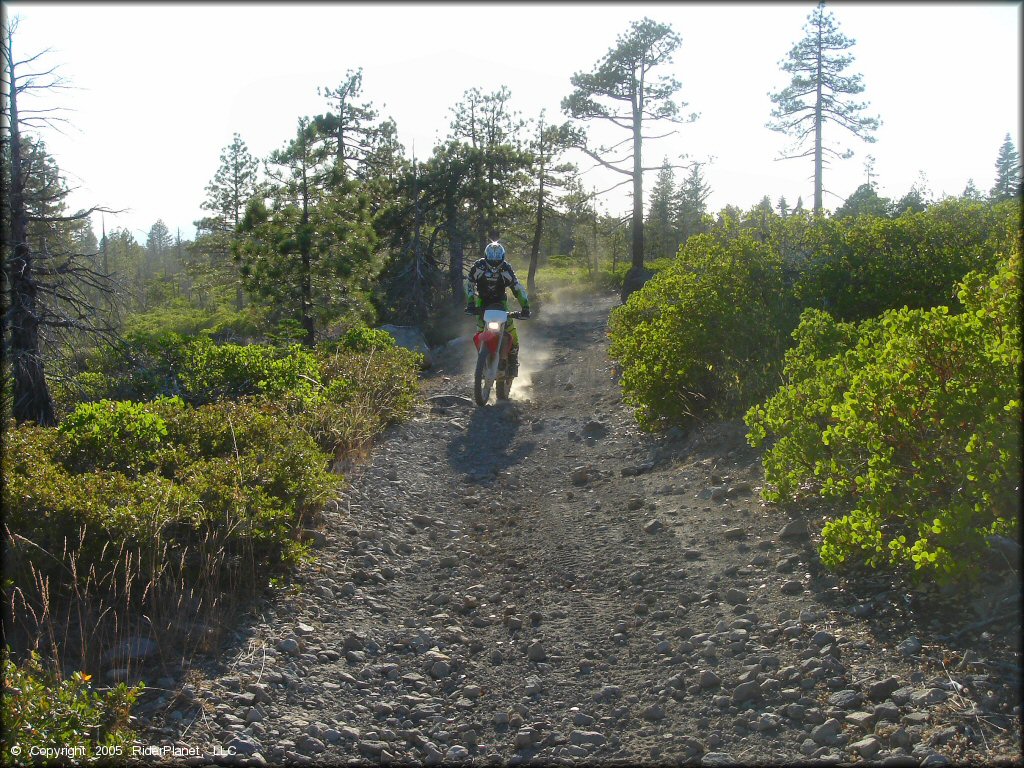 Honda CRF Motorcycle at Black Springs OHV Network Trail