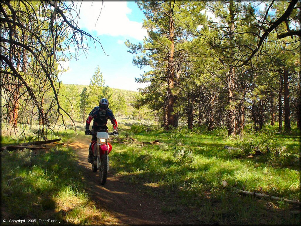 Honda CRF Motorcycle at Bull Ranch Creek Trail