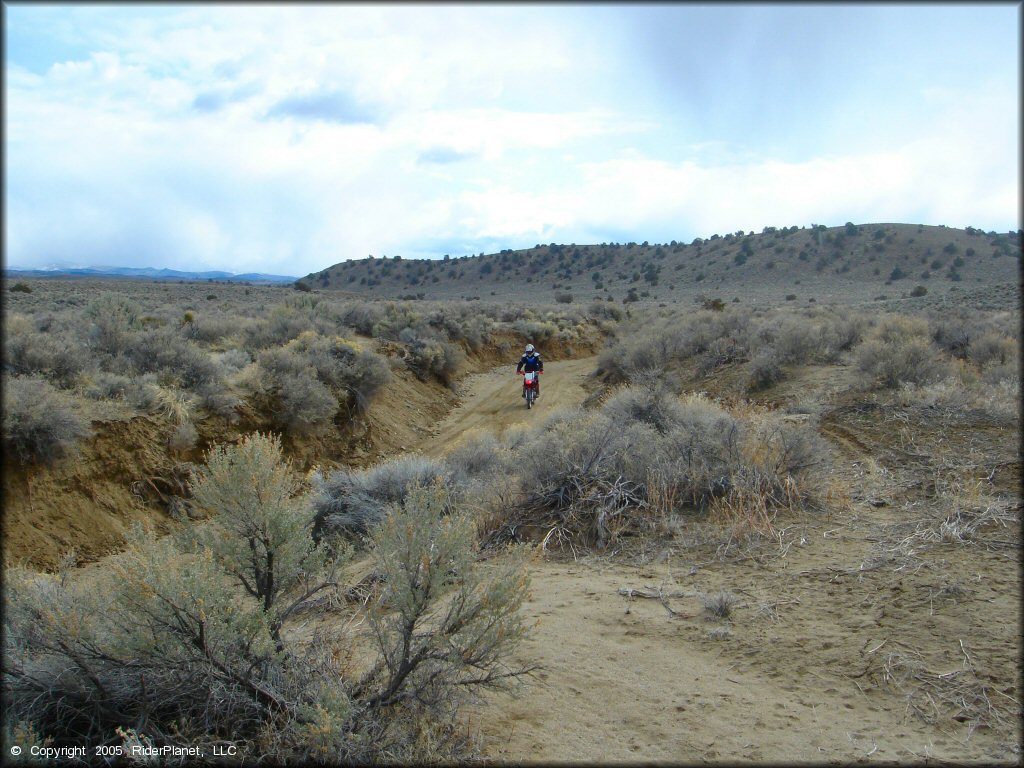 Honda CRF Motorcycle at Old Sheep Ranch Trail