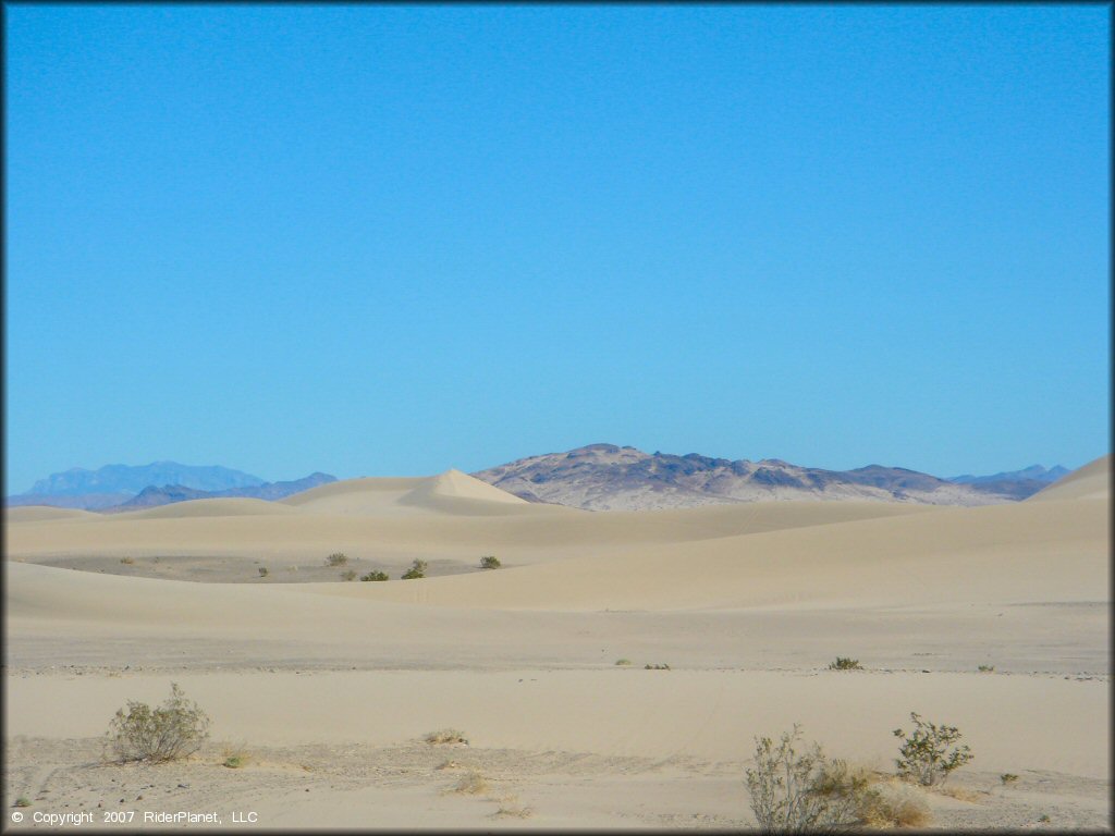 OHV at Dumont Dunes OHV Area