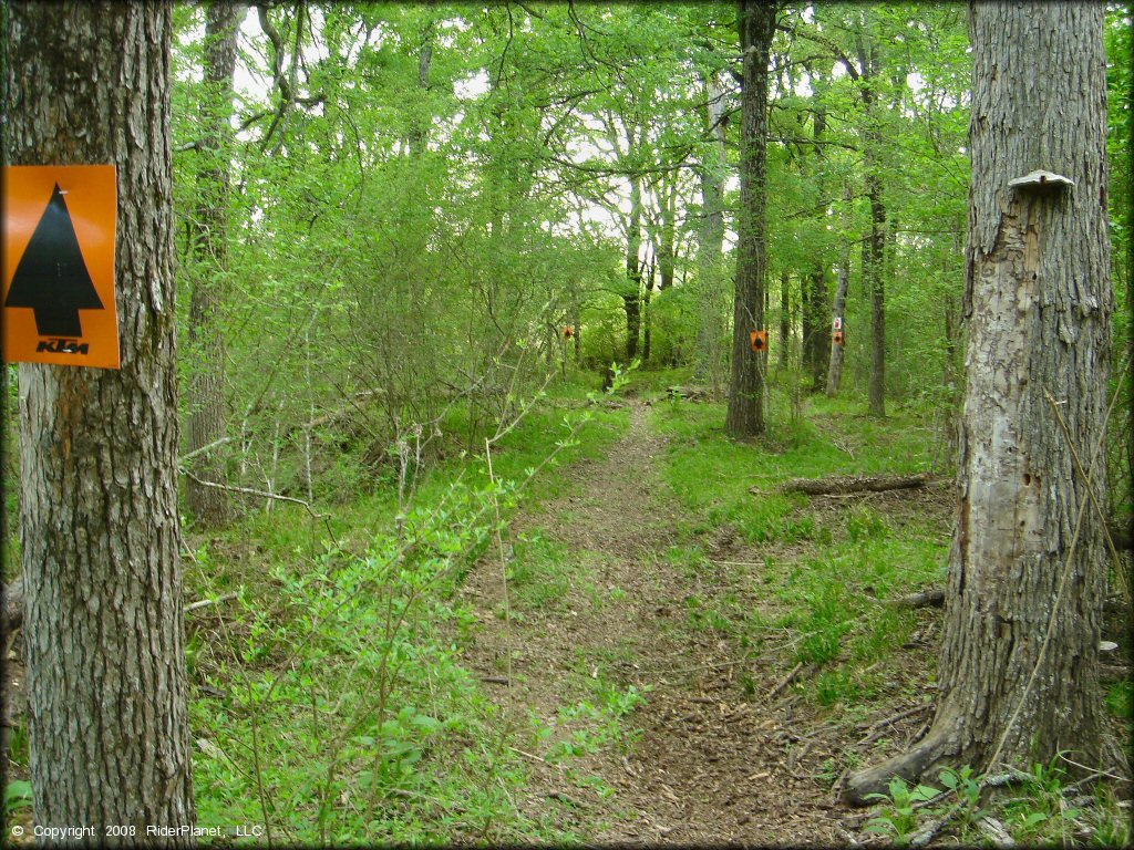 A trail at CrossCreek Cycle Park OHV Area