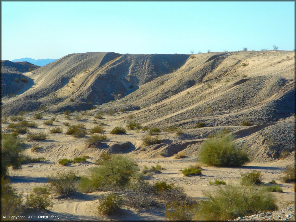 A trail at Ehrenberg Sandbowl OHV Area