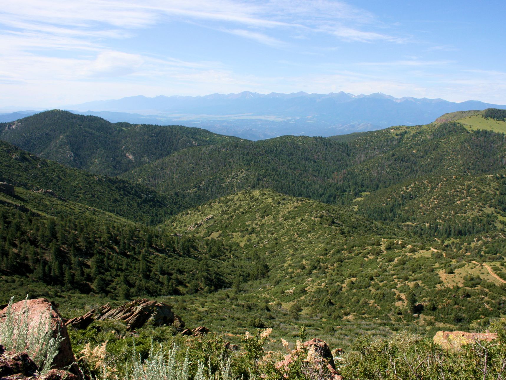 Texas Creek Trail