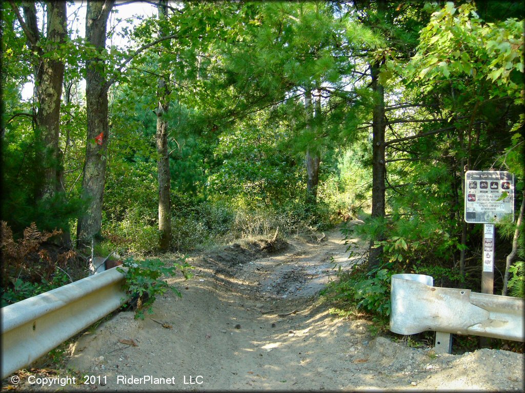 A trail at Freetown-Fall River State Forest Trail