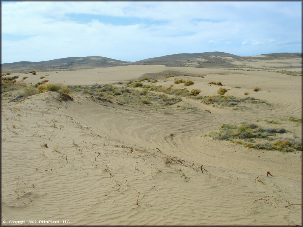 Example of terrain at Winnemucca Sand Dunes OHV Area
