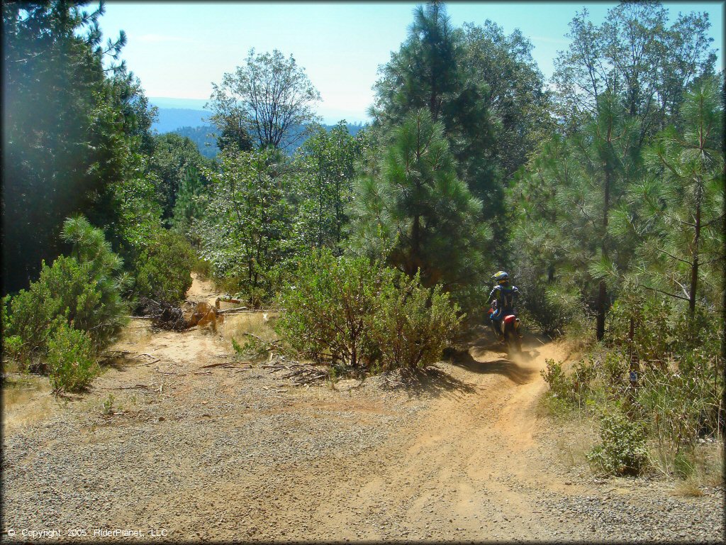 Honda CRF Motorbike at Miami Creek OHV Area Trail