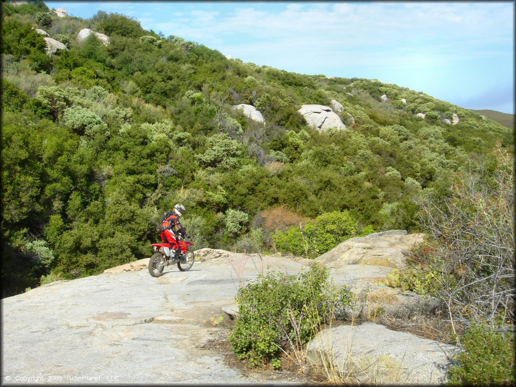 Man riding Honda CRF250X navigating short section of 4x4 trail made of solid rock.